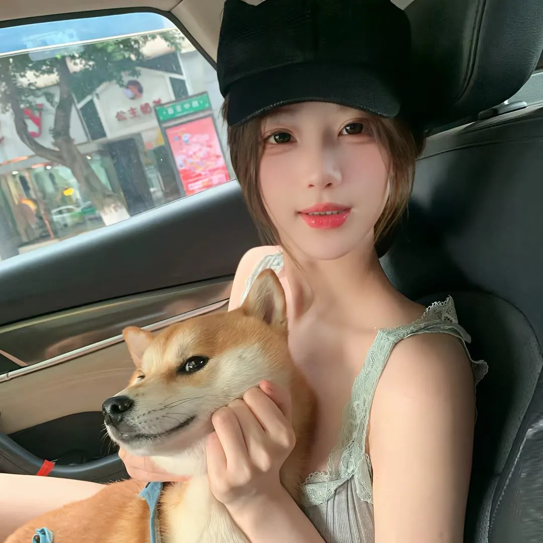 已上漆的房子
