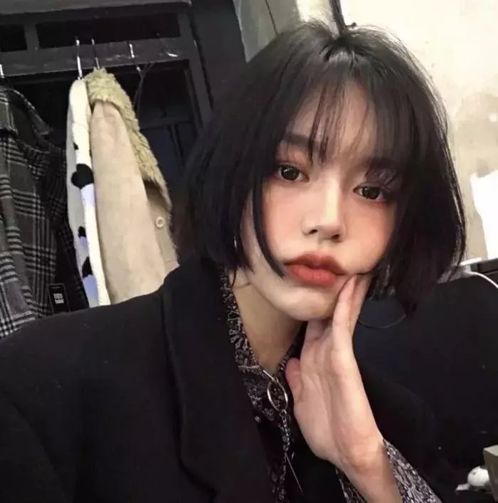 莉兹与青鸟